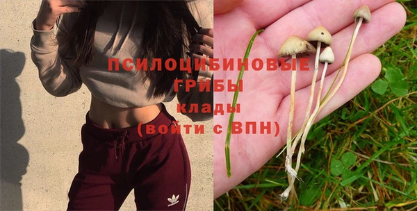 прущие крисы Балабаново