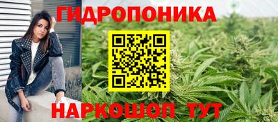 дживик Новокубанск