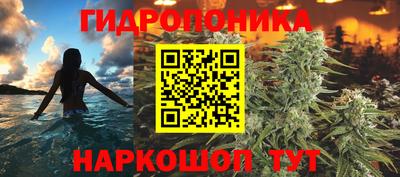 гидропоника Новодвинск
