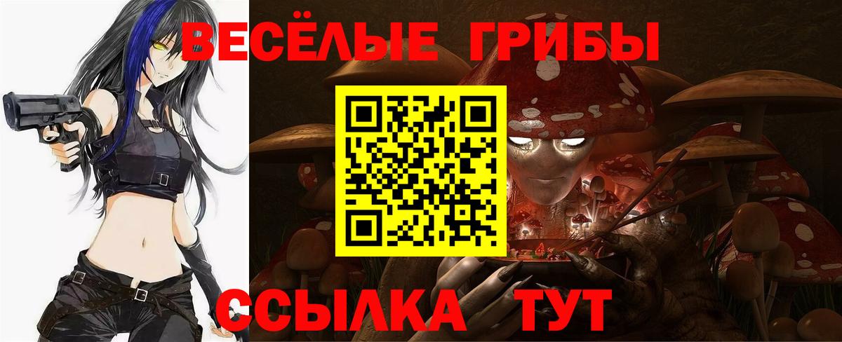 Галлюциногенные грибы мухоморы  как найти закладки  Барабинск  Вход с VPN  Галлюциногенные грибы GOLDEN TEACHER 